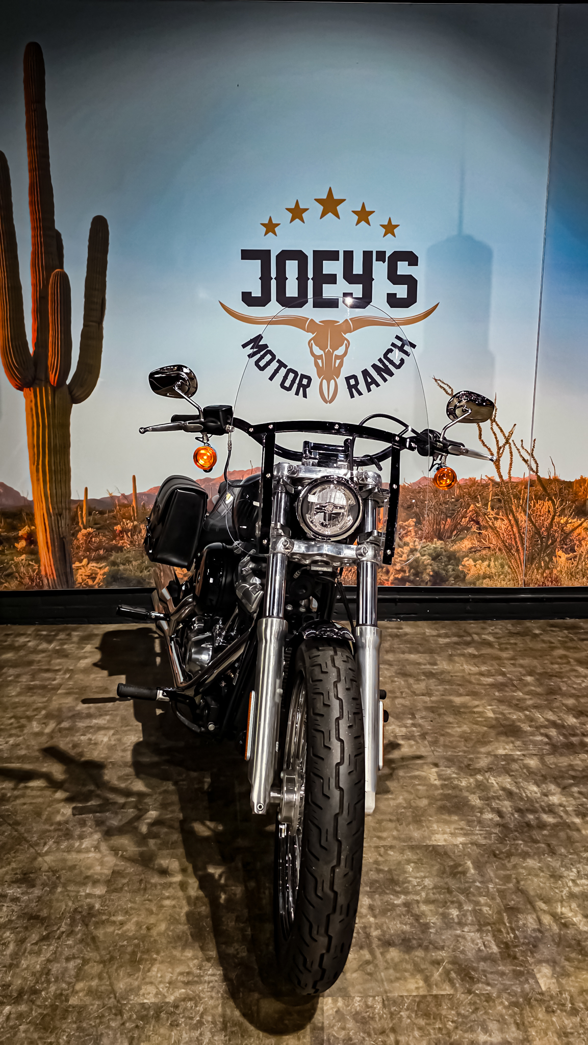 Harley-Davidson - Softail Standard - FXST - 2021 (1)