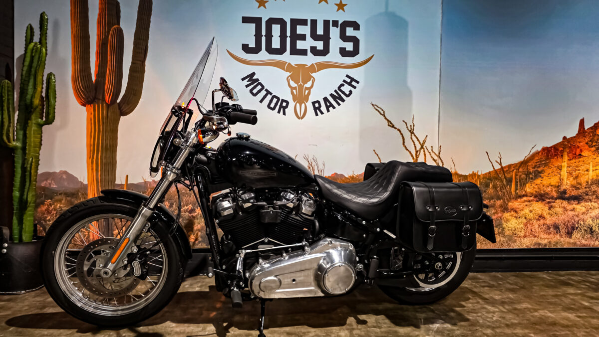 Harley-Davidson - Softail Standard - FXST - 2021 (1)