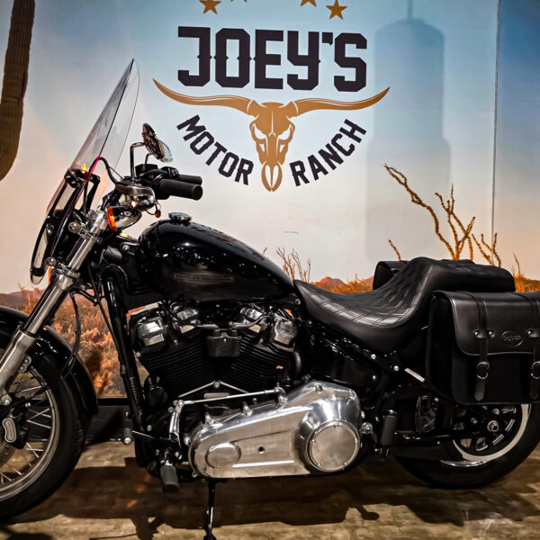 Harley-Davidson - Softail Standard - FXST - 2021 (1)
