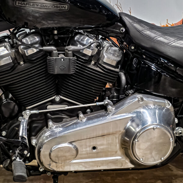 Harley-Davidson - Softail Standard - FXST - 2021 (1)