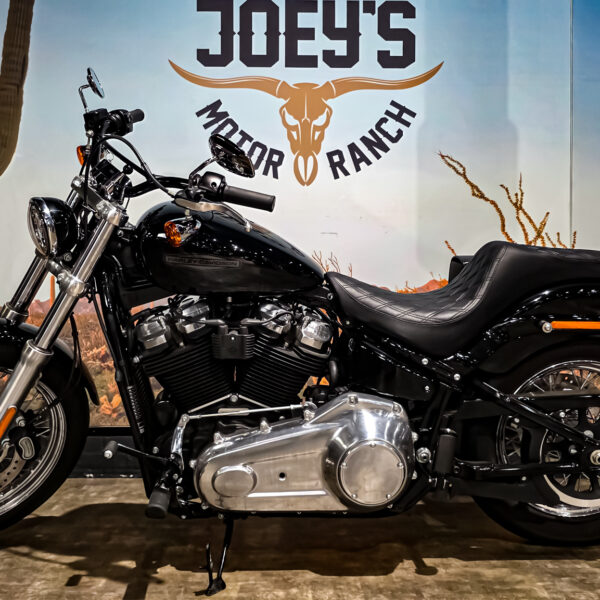 Harley-Davidson - Softail Standard - FXST - 2021 (1)