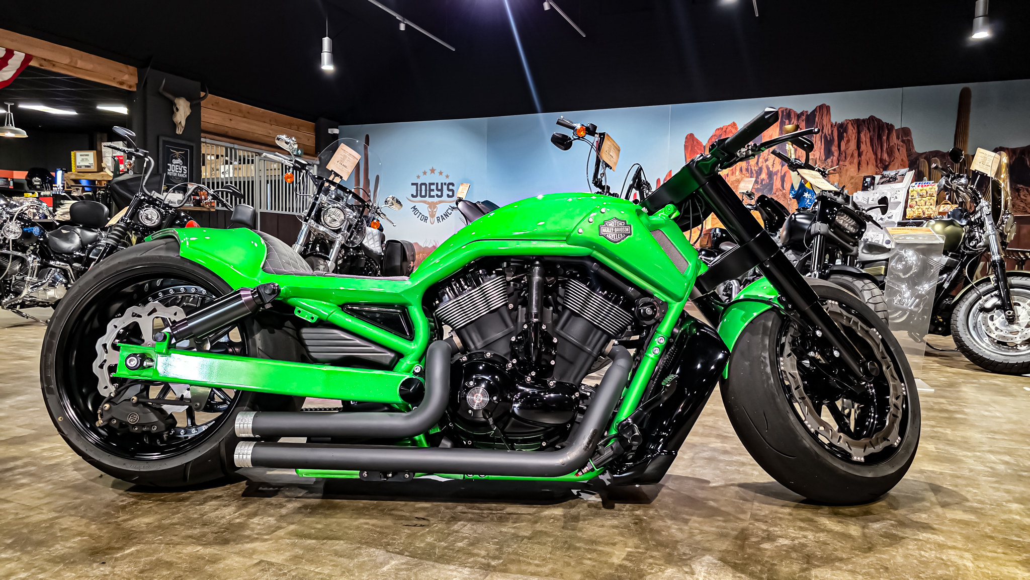 Bozzies - VRSCDX - Harley-Davidson - 2010 - Custom Build - Night rod special