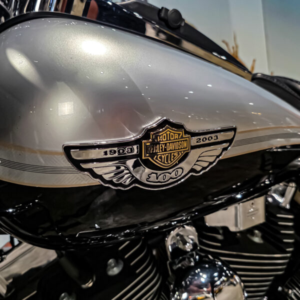 Harley-Davidson - FLHTCU - Electra Glide Ultra Classic - 2003 - 100th anniversary edition (4)