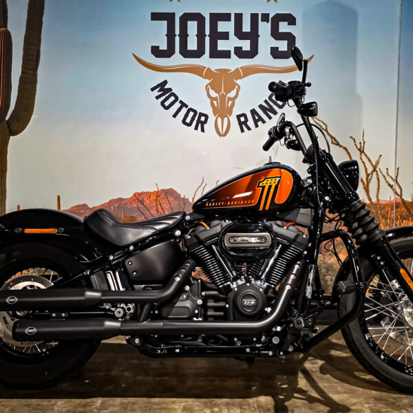 Harley-Davidson - FXBBS - Street Bob - 2021 (12)