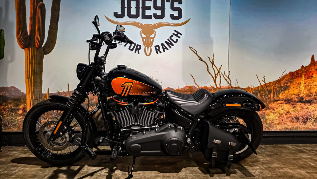 Harley-Davidson - FXBBS - Street Bob - 2021 (12)