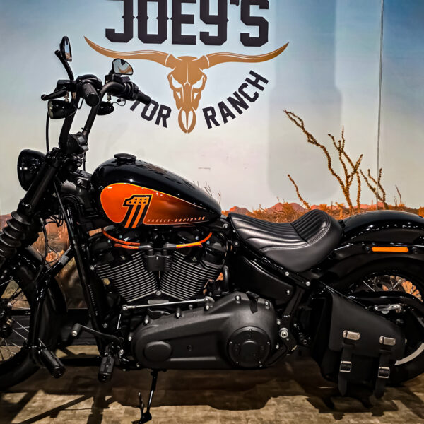 Harley-Davidson - FXBBS - Street Bob - 2021 (12)
