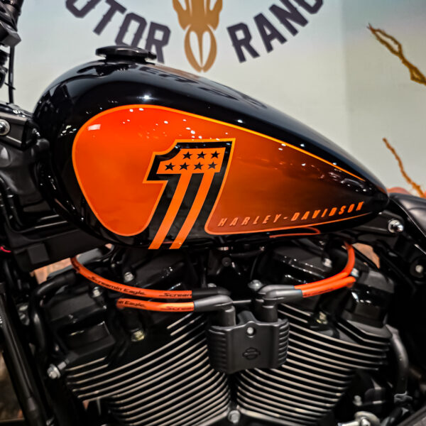 Harley-Davidson - FXBBS - Street Bob - 2021 (12)