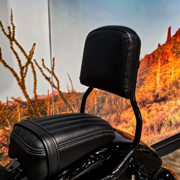 Harley-Davidson - FXBBS - Street Bob - 2021 (12)