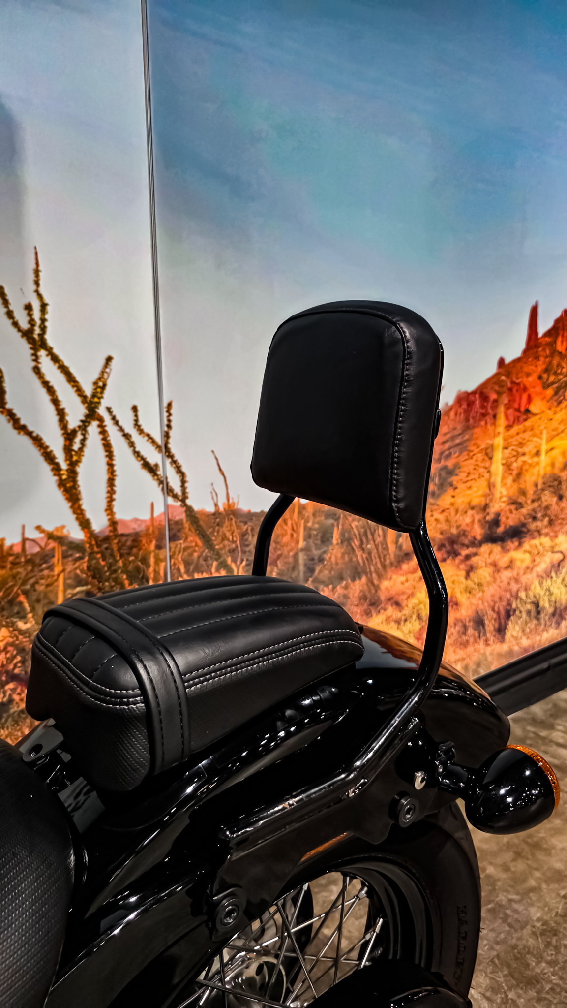 Harley-Davidson - FXBBS - Street Bob - 2021 (12)