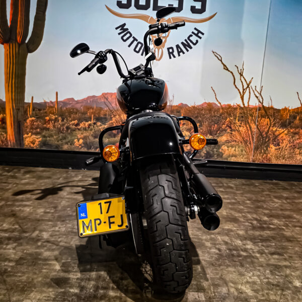 Harley-Davidson - FXBBS - Street Bob - 2021 (12)