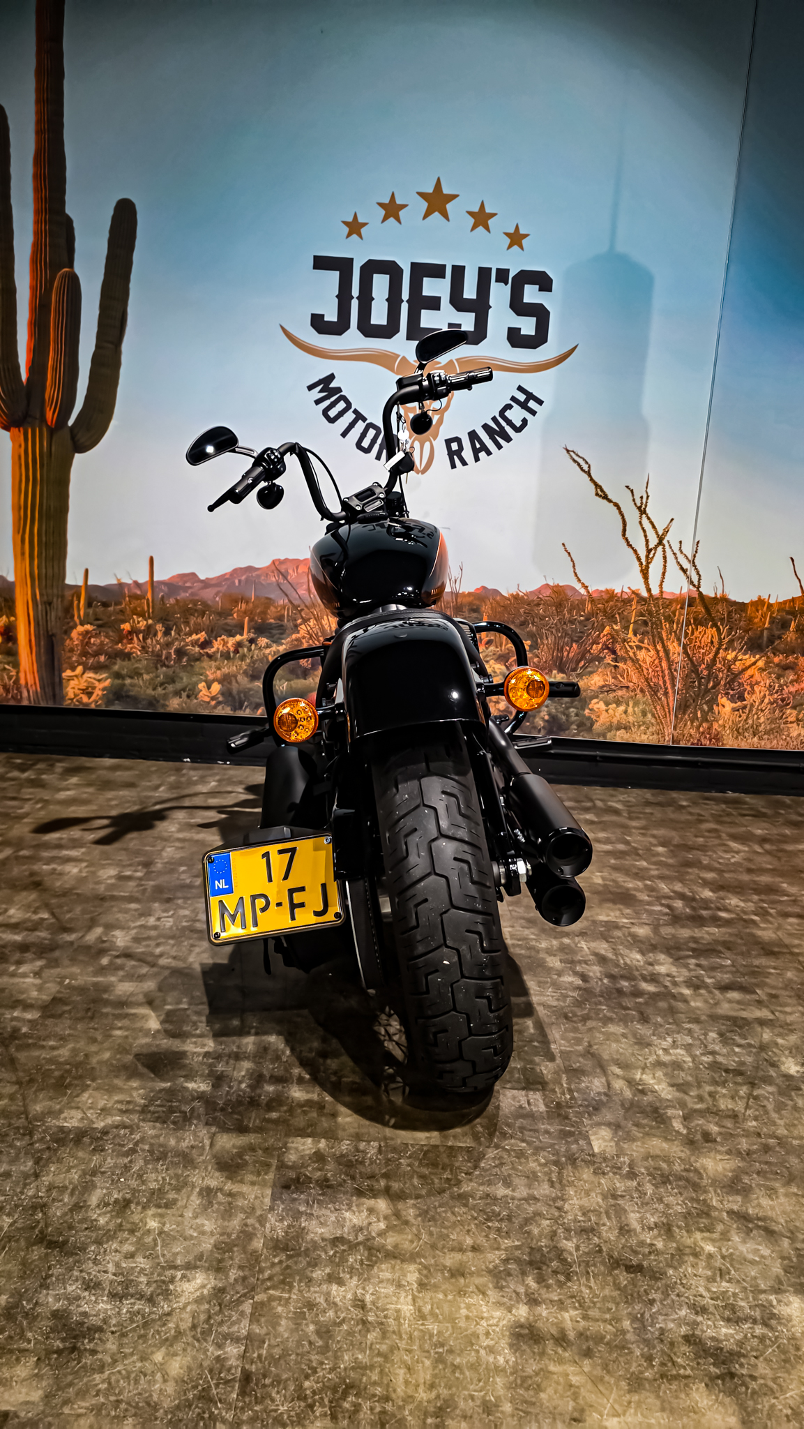 Harley-Davidson - FXBBS - Street Bob - 2021 (12)