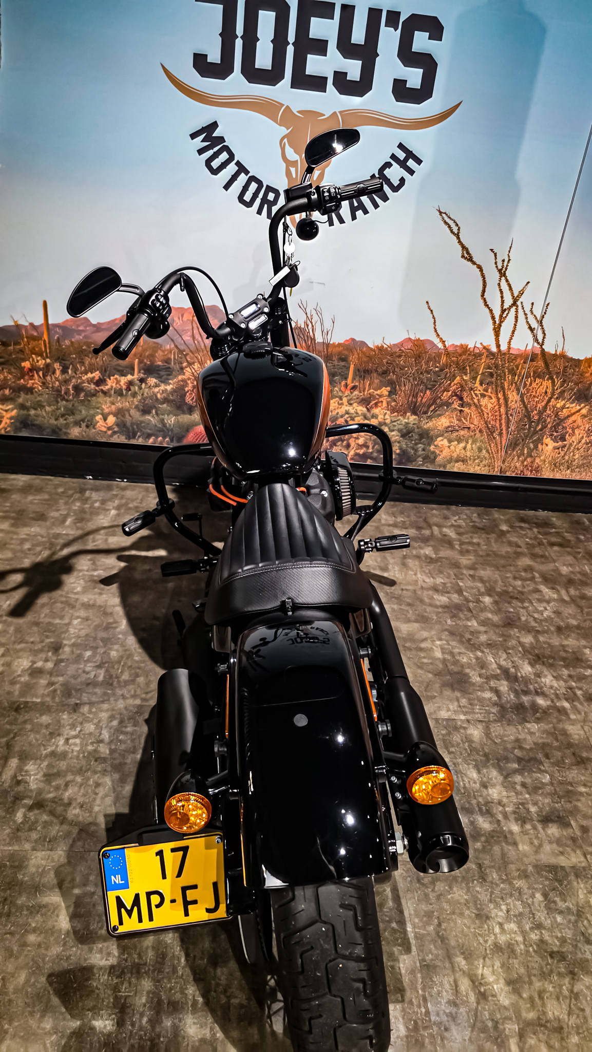 Harley-Davidson - FXBBS - Street Bob - 2021 (12)