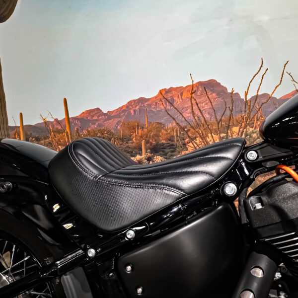 Harley-Davidson - FXBBS - Street Bob - 2021 (12)