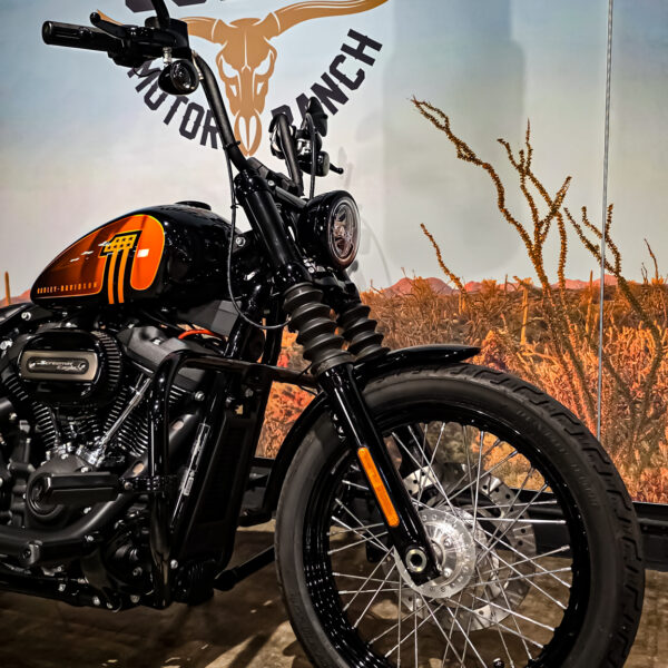 Harley-Davidson - FXBBS - Street Bob - 2021 (12)