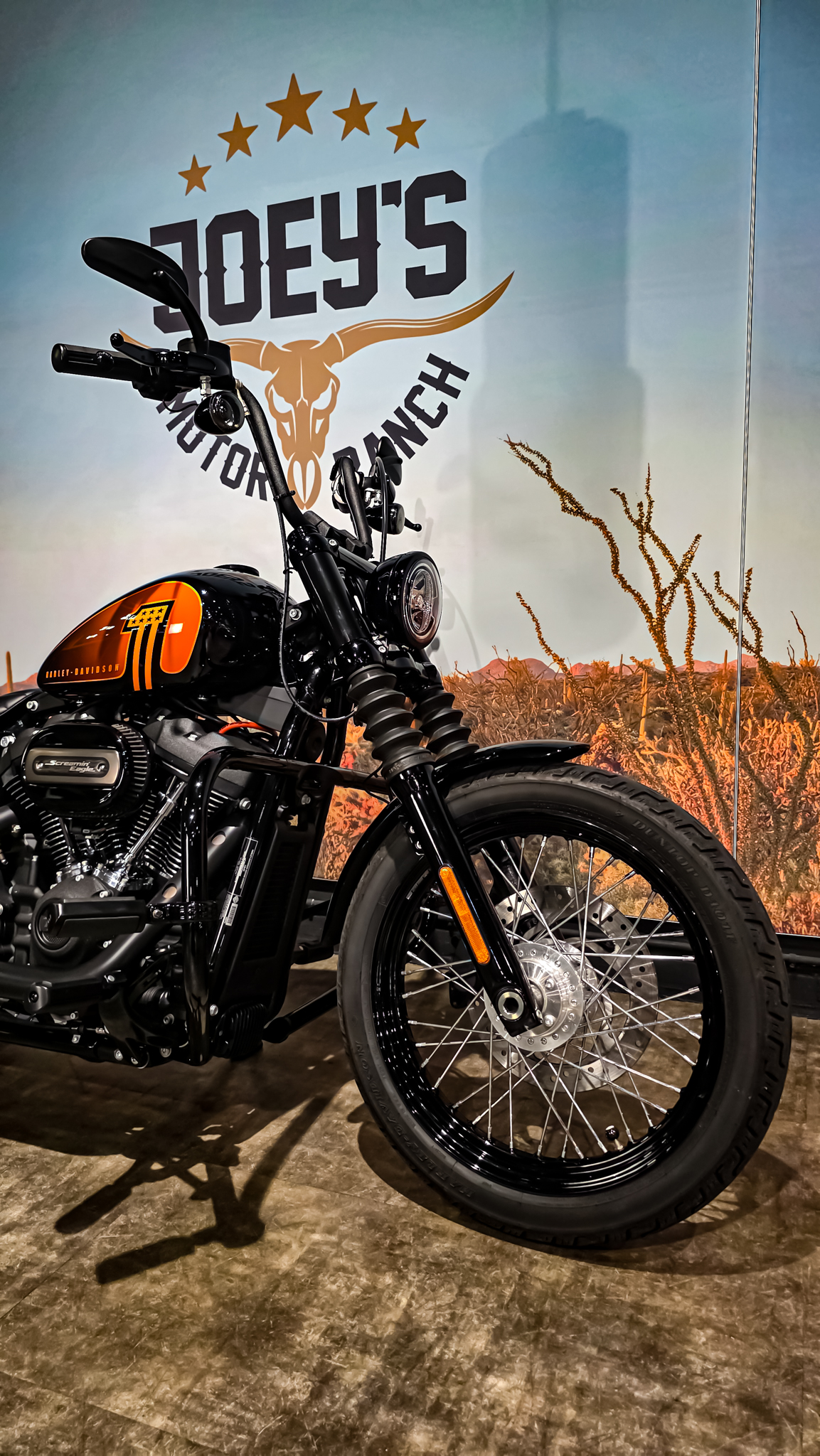 Harley-Davidson - FXBBS - Street Bob - 2021 (12)