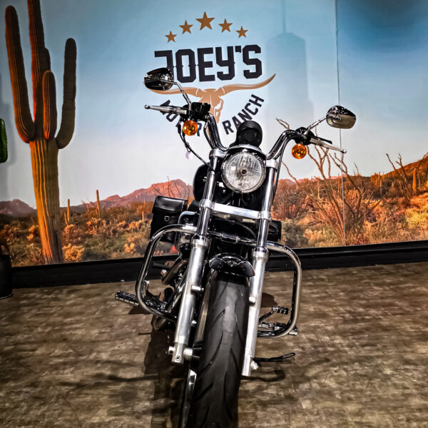 Harley-Davidson - Sportster 883 superlow - 2014 (11) Harley-Davidson - Sportster 883 superlow - 2014 (1)