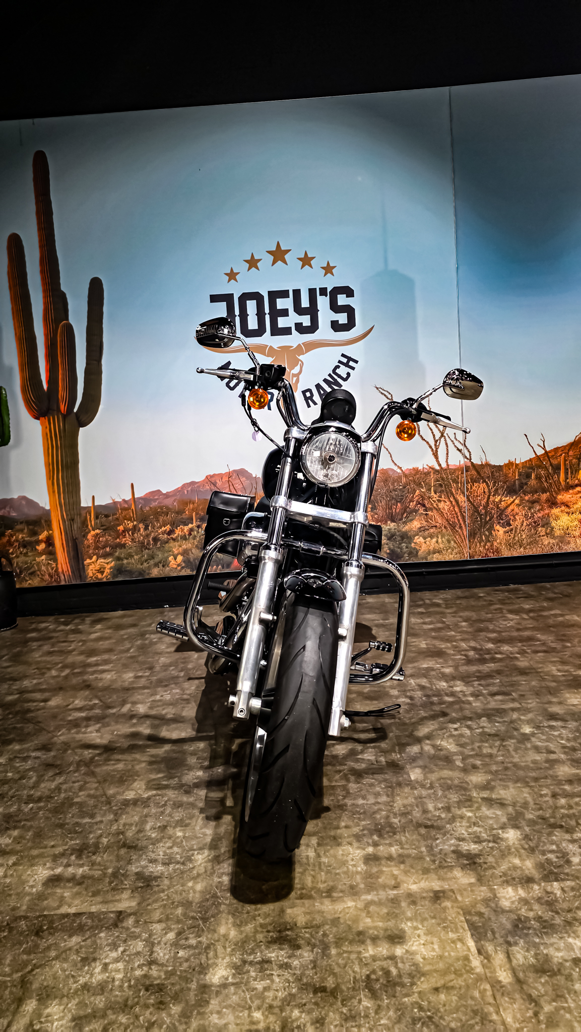 Harley-Davidson - Sportster 883 superlow - 2014 (11) Harley-Davidson - Sportster 883 superlow - 2014 (1)