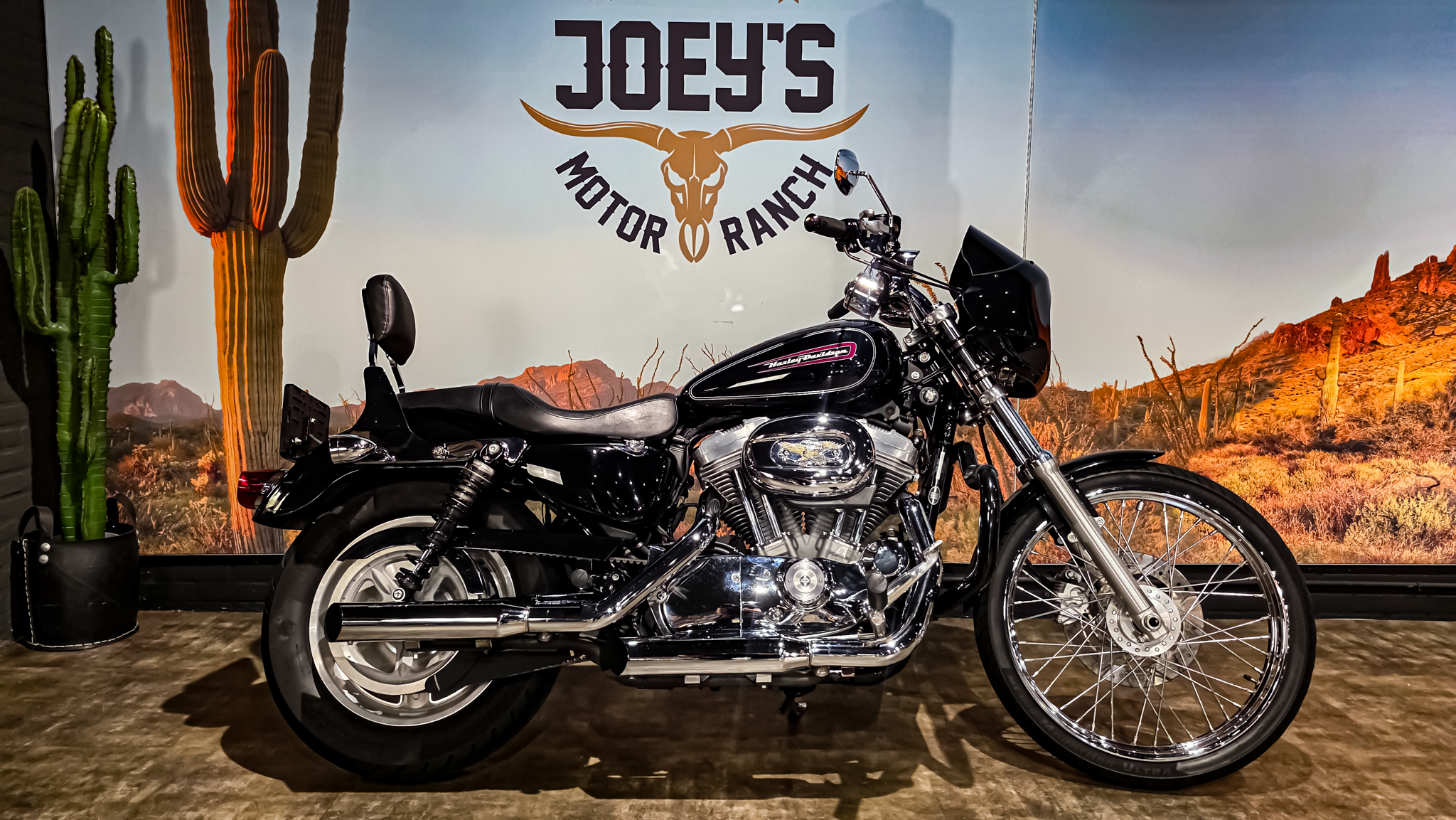 Harley-Davidson - Sportster Cusom 883 - 2010 - XL883C (12)