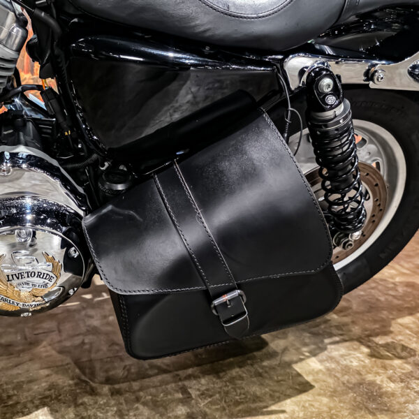 Harley-Davidson - Sportster Cusom 883 - 2010 - XL883C (12)