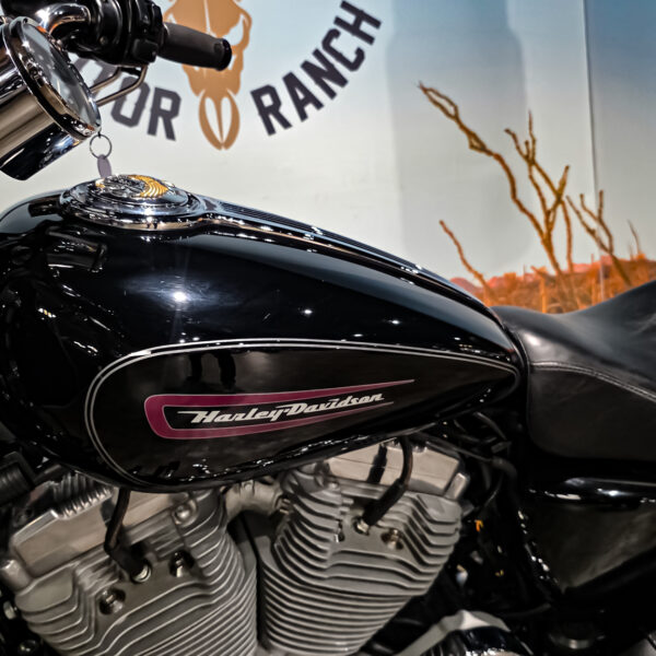 Harley-Davidson - Sportster Cusom 883 - 2010 - XL883C (12)