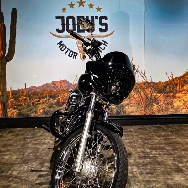 Harley-Davidson - Sportster Cusom 883 - 2010 - XL883C (12)