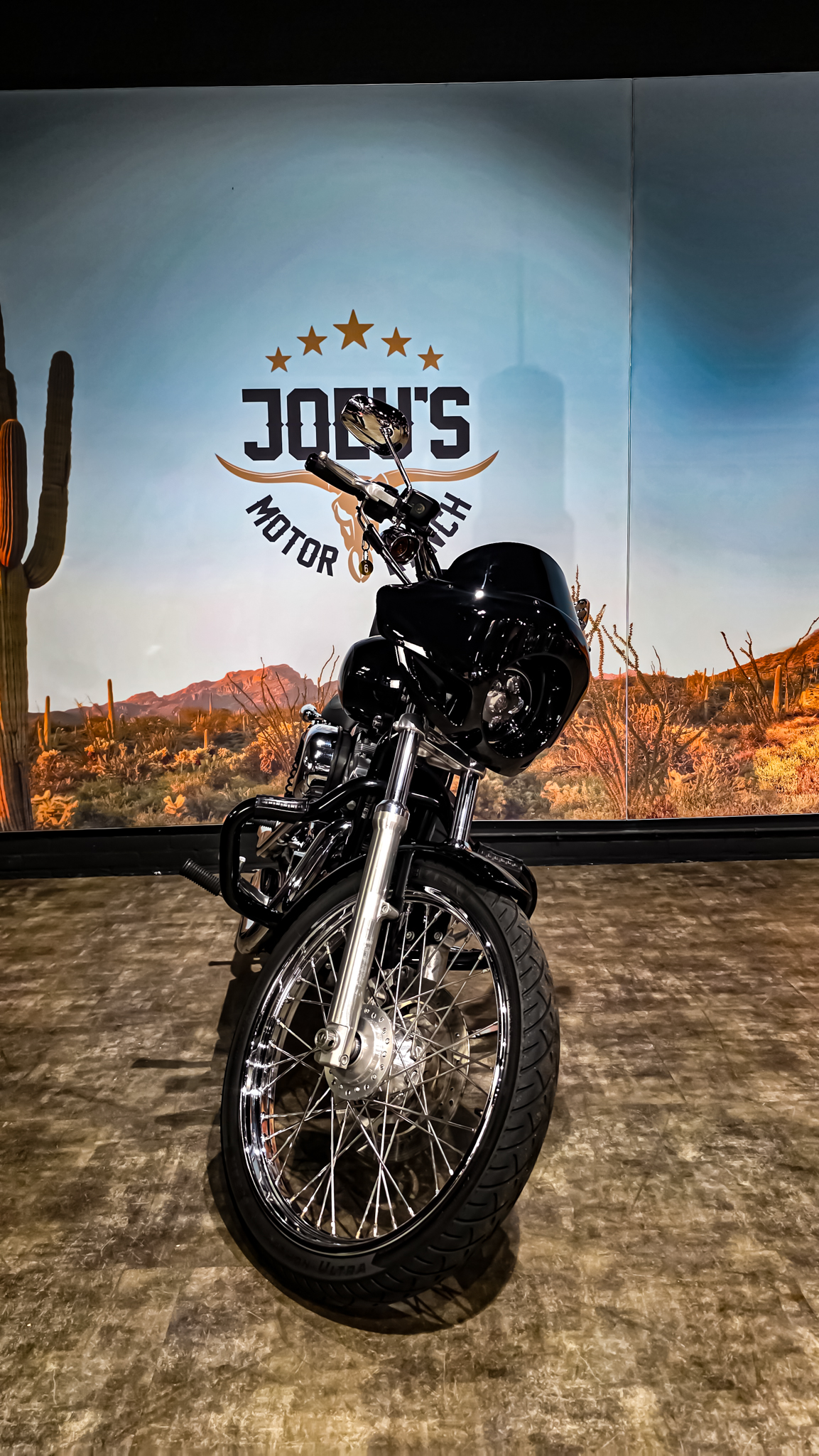 Harley-Davidson - Sportster Cusom 883 - 2010 - XL883C (12)
