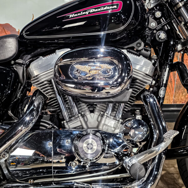 Harley-Davidson - Sportster Cusom 883 - 2010 - XL883C (12)