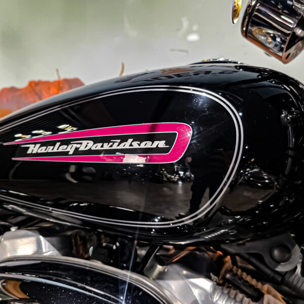 Harley-Davidson - Sportster Cusom 883 - 2010 - XL883C (12)