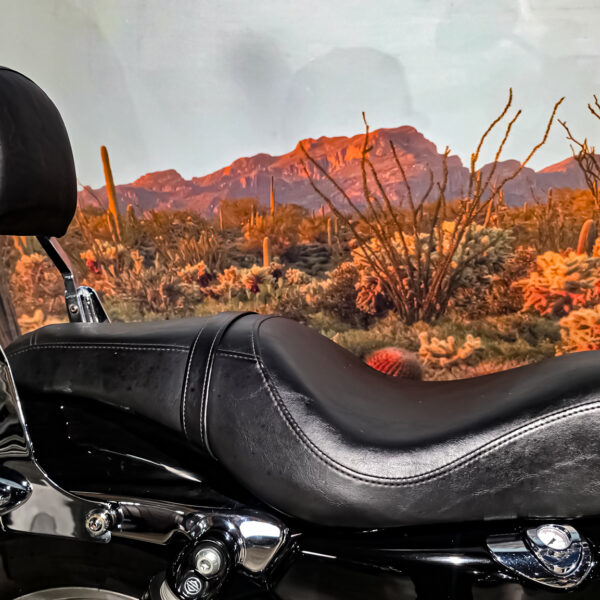 Harley-Davidson - Sportster Cusom 883 - 2010 - XL883C (12)
