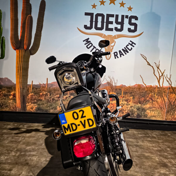 Harley-Davidson - Sportster Cusom 883 - 2010 - XL883C (12)
