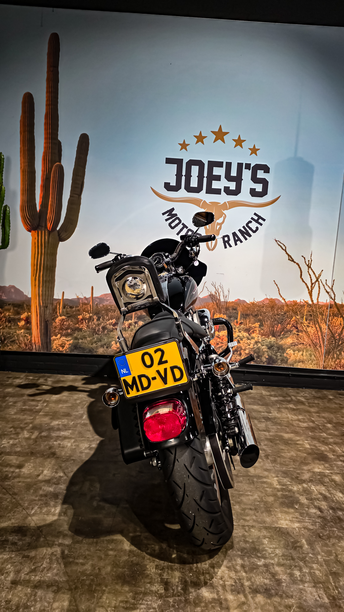 Harley-Davidson - Sportster Cusom 883 - 2010 - XL883C (12)