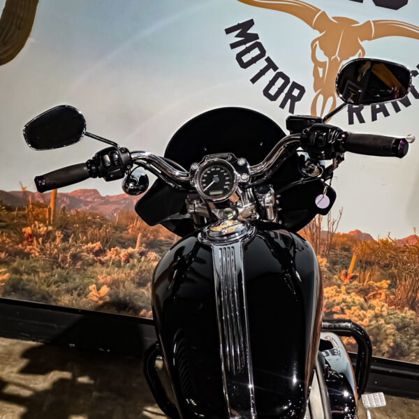Harley-Davidson - Sportster Cusom 883 - 2010 - XL883C (12)
