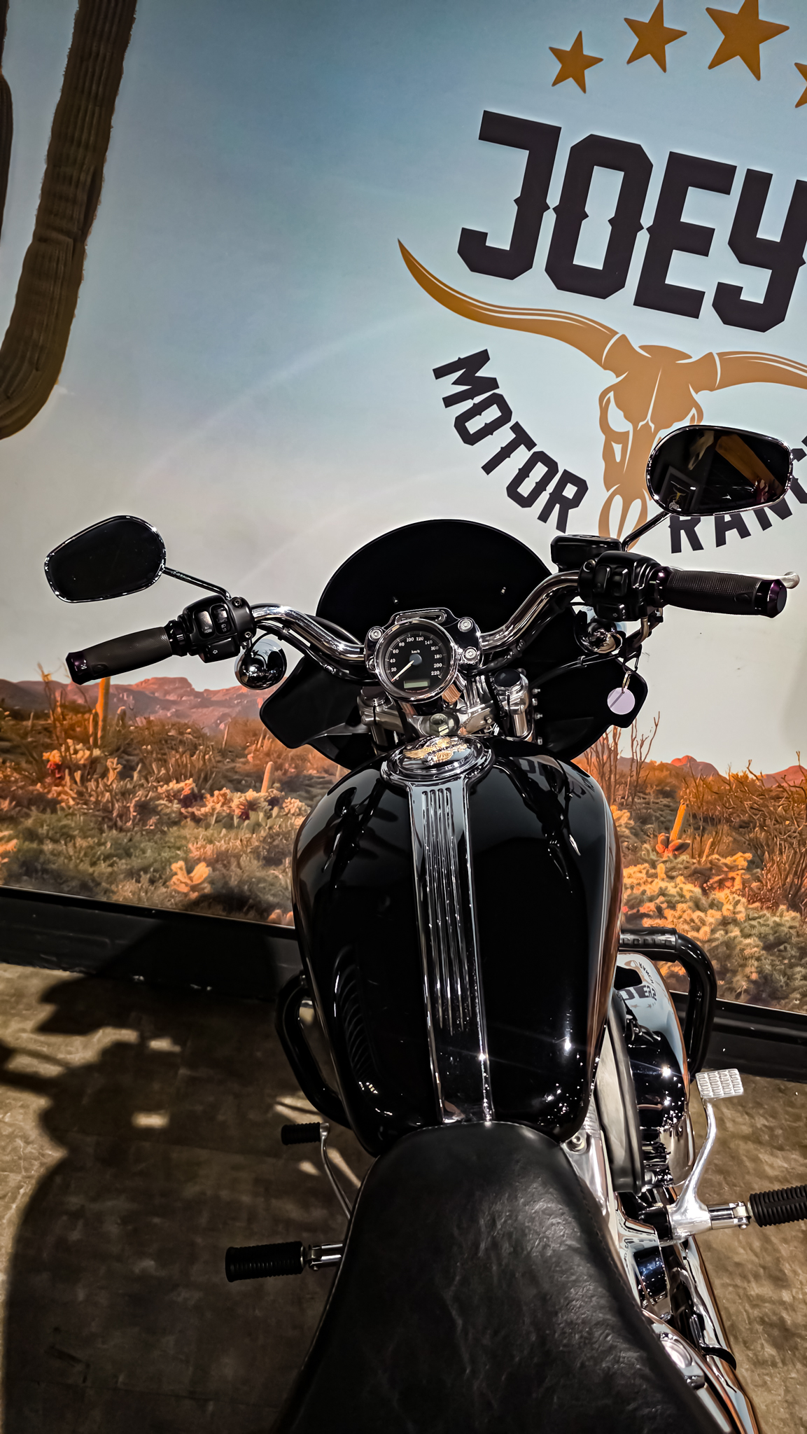 Harley-Davidson - Sportster Cusom 883 - 2010 - XL883C (12)