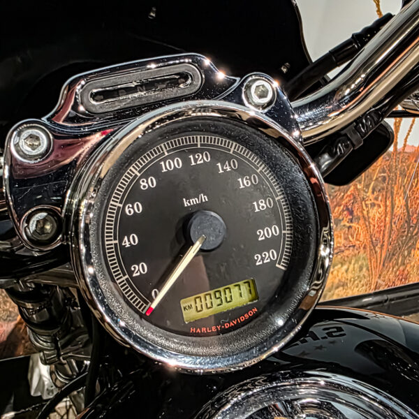 Harley-Davidson - Sportster Cusom 883 - 2010 - XL883C (12)