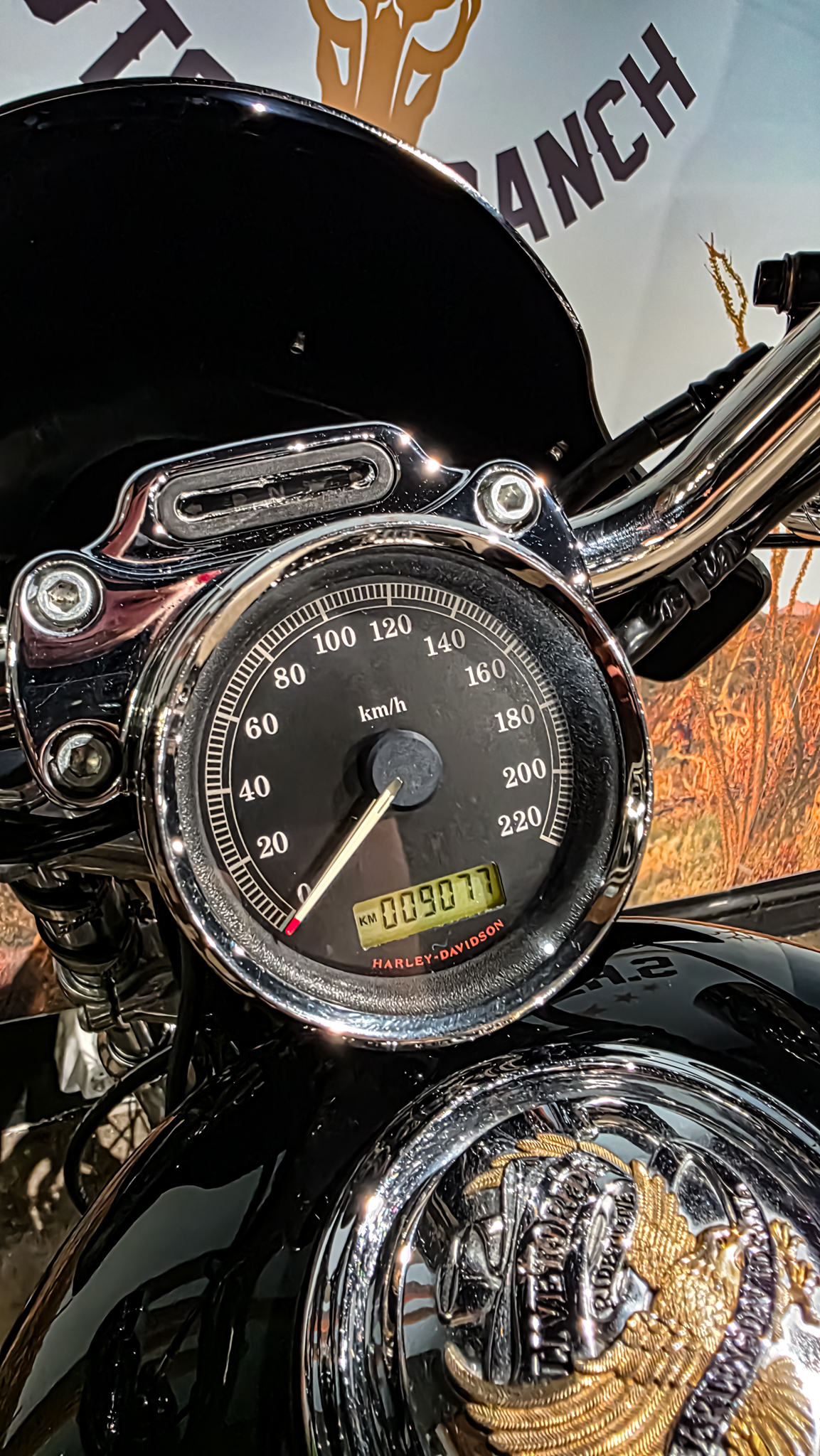 Harley-Davidson - Sportster Cusom 883 - 2010 - XL883C (12)
