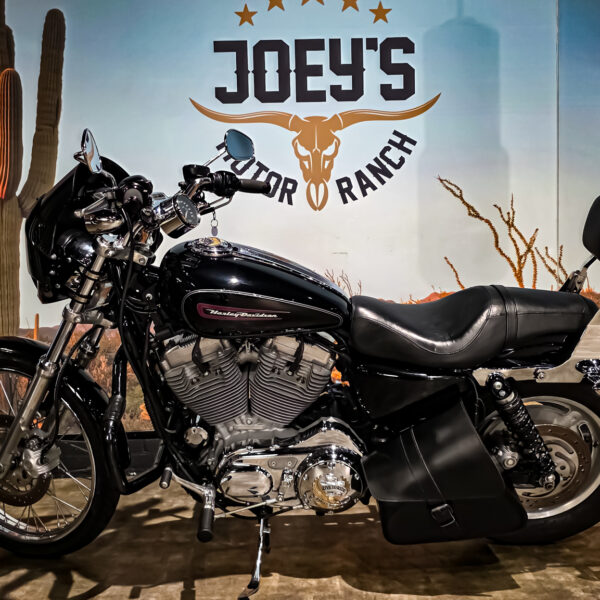 Harley-Davidson - Sportster Cusom 883 - 2010 - XL883C (12)