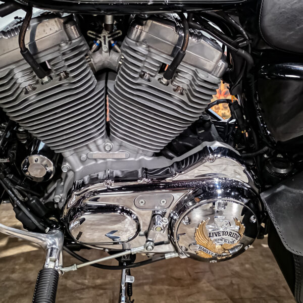 Harley-Davidson - Sportster Cusom 883 - 2010 - XL883C (12)