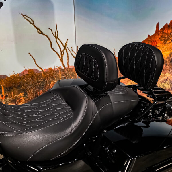 Harley-Davidson - FLHX - Street Glide - 2009 (10)