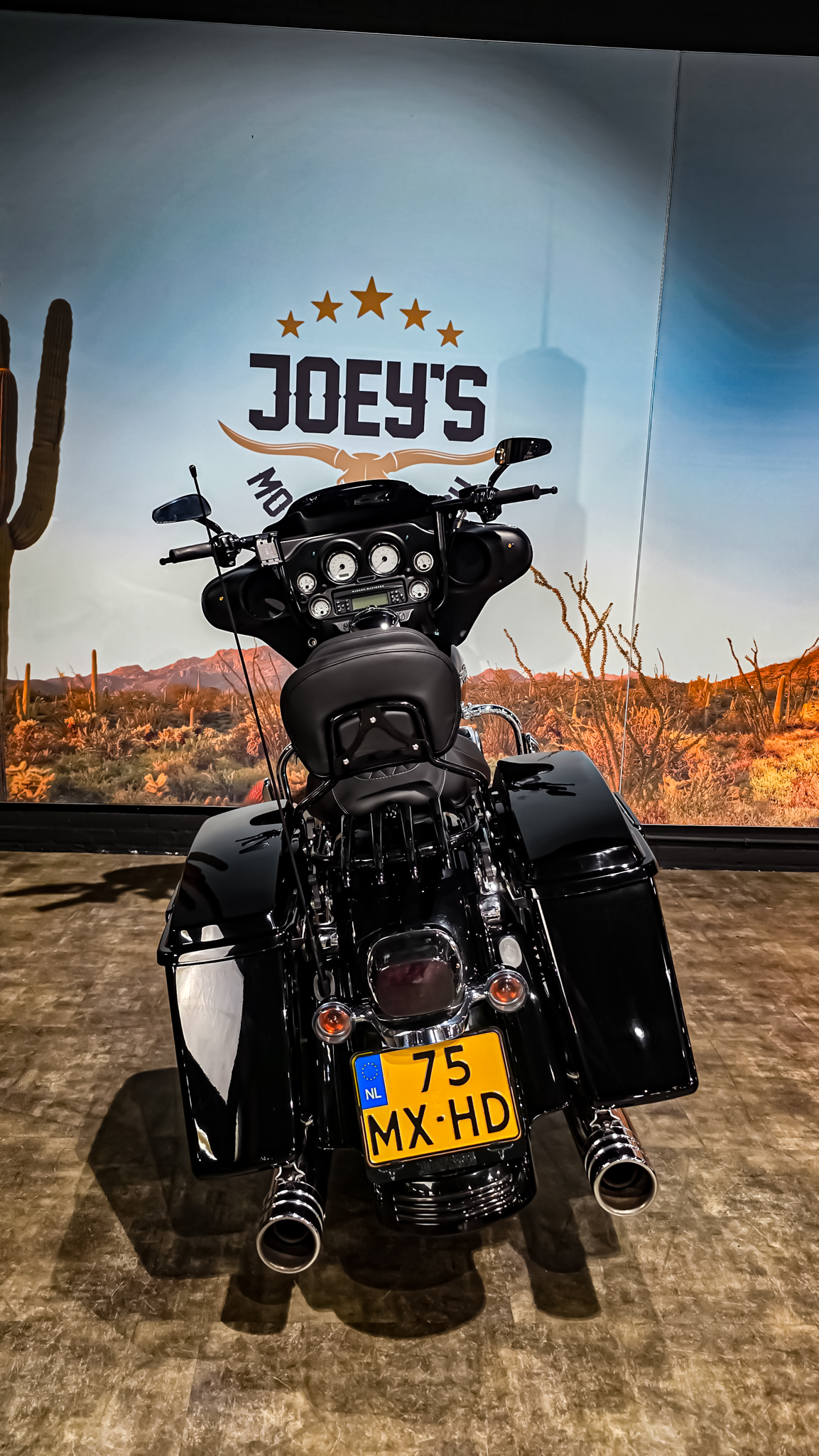 Harley-Davidson - FLHX - Street Glide - 2009 (10)