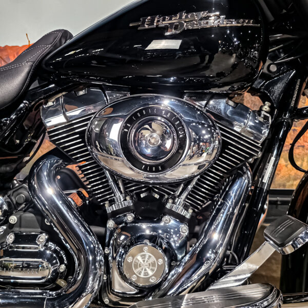 Harley-Davidson - FLHX - Street Glide - 2009 (10)