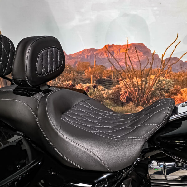 Harley-Davidson - FLHX - Street Glide - 2009 (10)