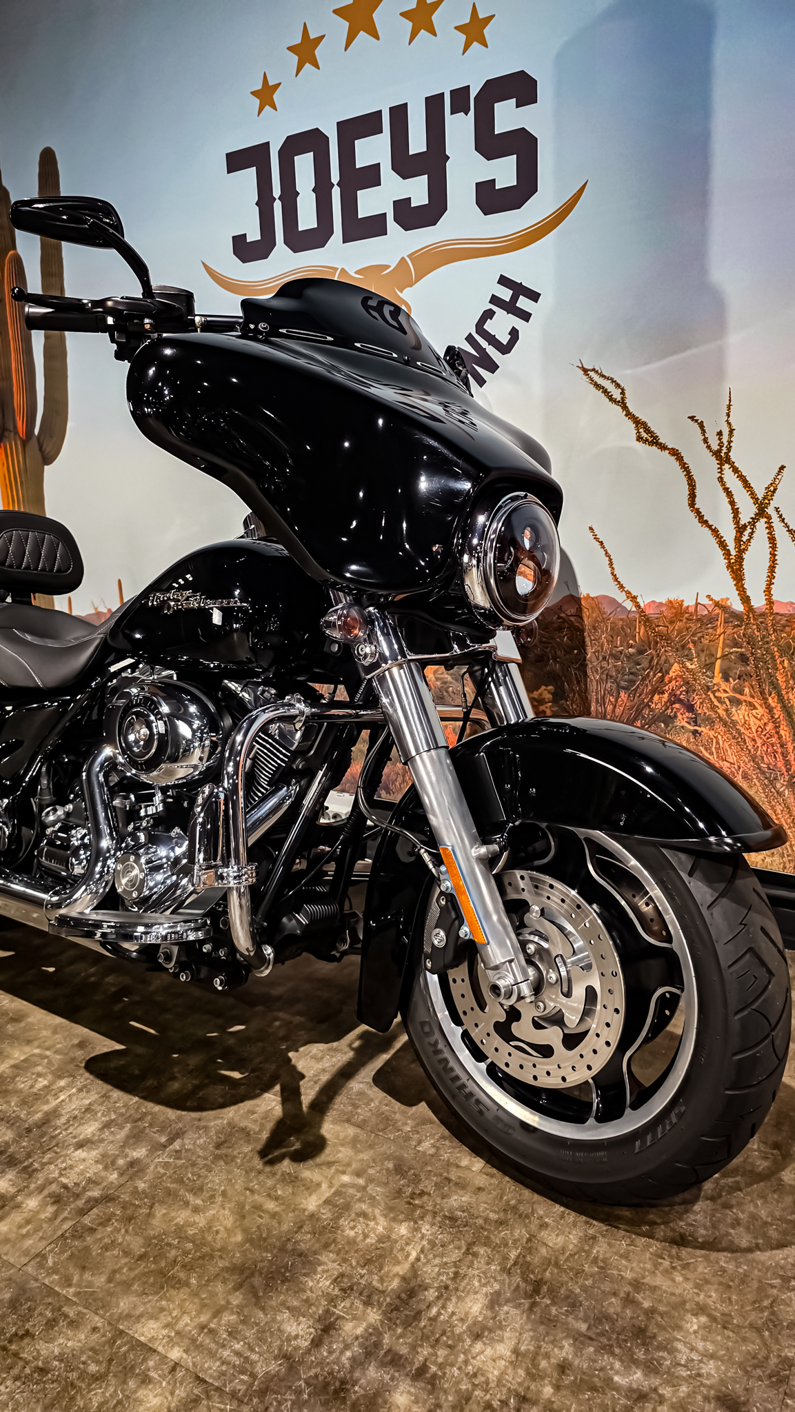 Harley-Davidson - FLHX - Street Glide - 2009 (10)
