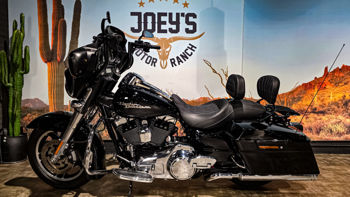Harley-Davidson - FLHX - Street Glide - 2009 (10)