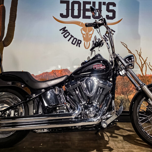 Harley-Davidson - FXSTC - Softail Custom - 2010