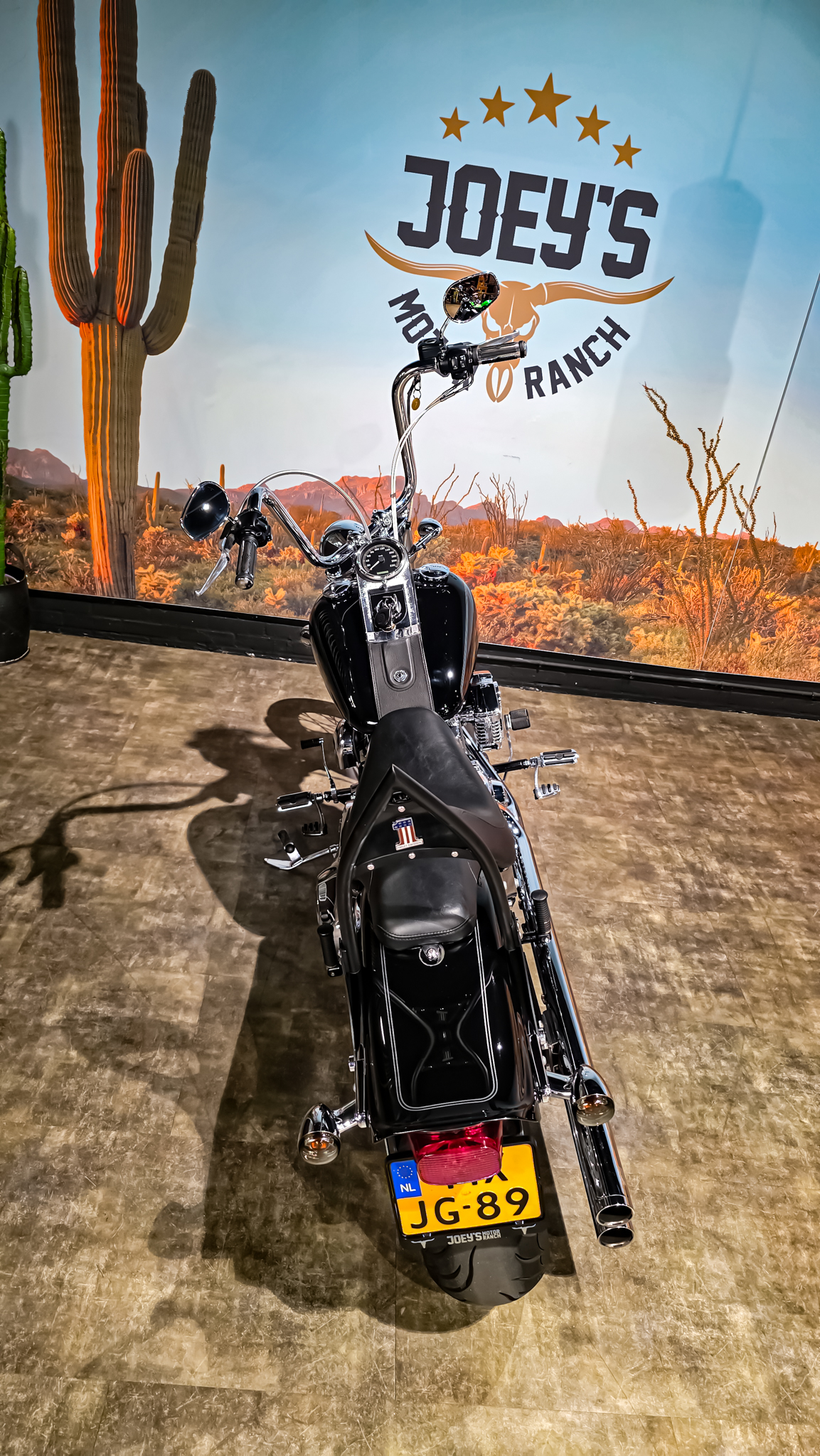 Harley-Davidson - FXSTC - Softail Custom - 2010
