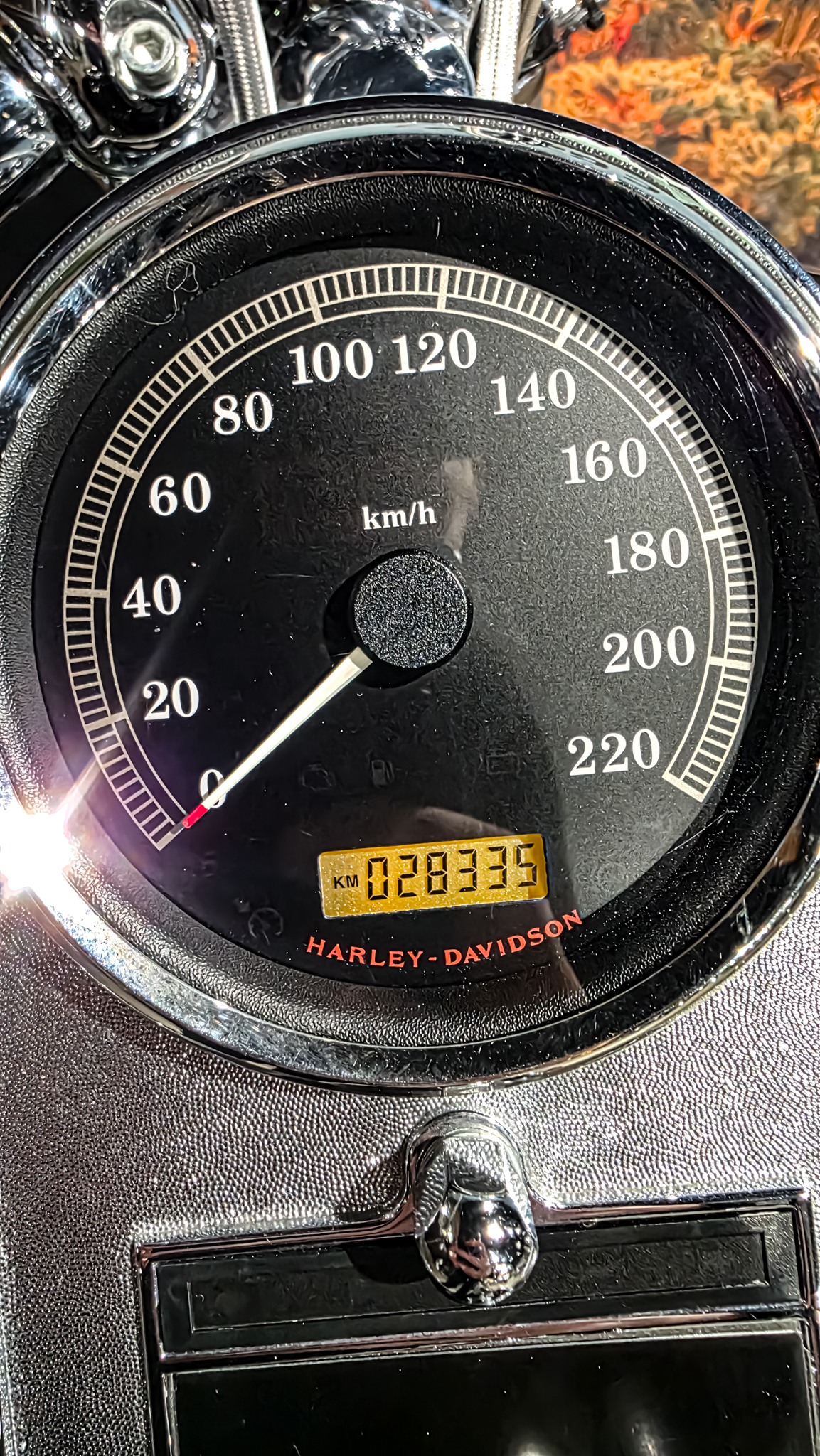 Harley-Davidson - FXSTC - Softail Custom - 2010