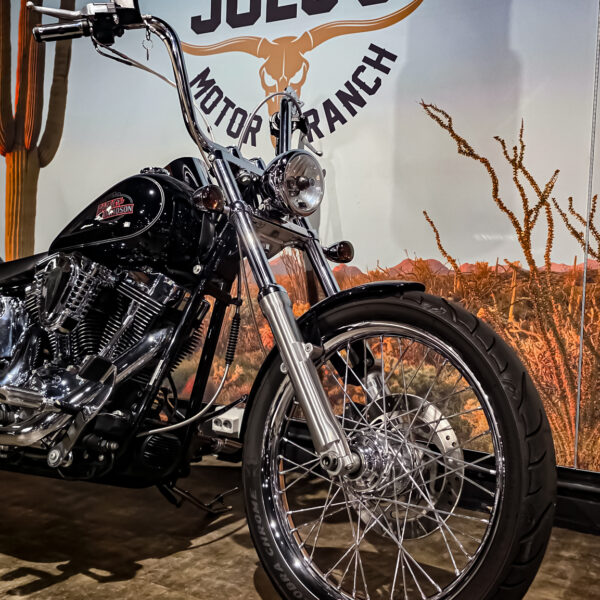 Harley-Davidson - FXSTC - Softail Custom - 2010