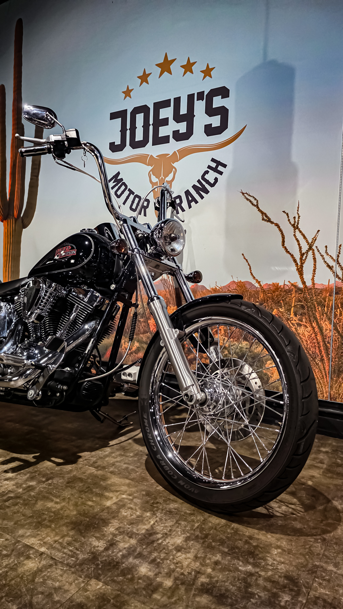 Harley-Davidson - FXSTC - Softail Custom - 2010