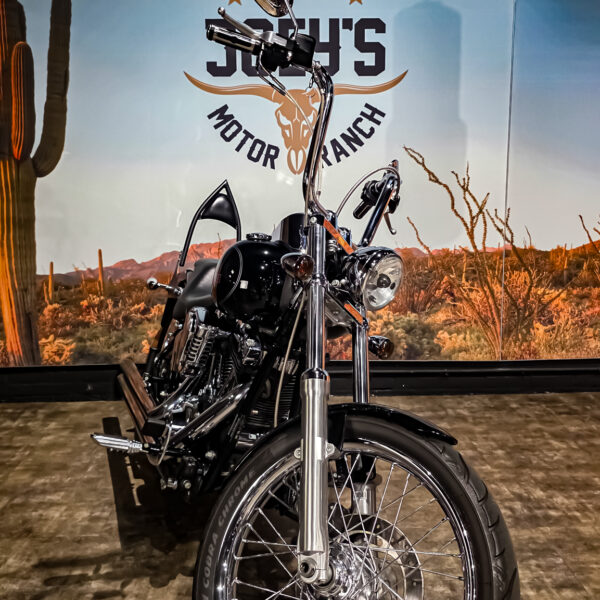 Harley-Davidson - FXSTC - Softail Custom - 2010