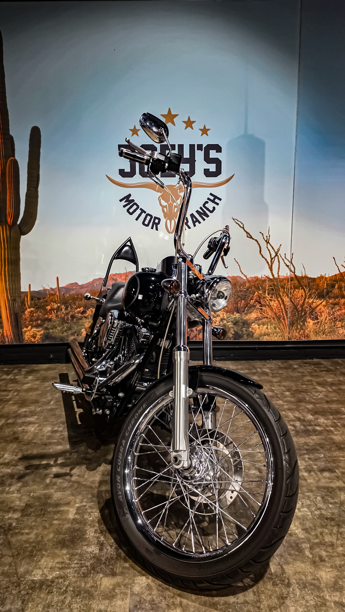 Harley-Davidson - FXSTC - Softail Custom - 2010